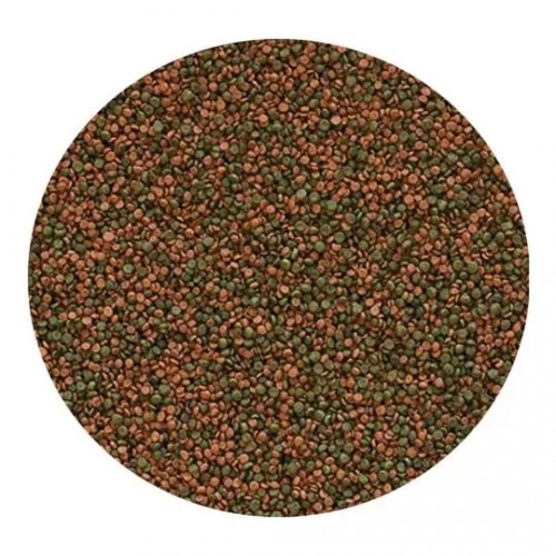 Tropical Cichlid Gran 250 ml / 138 gr Granül Balık Yemi